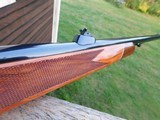 Colt Sauer Grand African Spectacular Stunning As New 458 Bargain Best One Available - 17 of 19