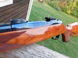 Colt Sauer Grand African Spectacular Stunning As New 458 Bargain Best One Available - 8 of 19