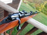 Colt Sauer Grand African Spectacular Stunning As New 458 Bargain Best One Available - 11 of 19