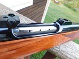 Colt Sauer Grand African Spectacular Stunning As New 458 Bargain Best One Available - 14 of 19