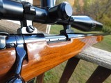 Weatherby Varmintmaster Stunning Beauty At A Bargain Price. 22-250 - 15 of 15
