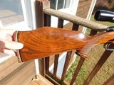 Weatherby Varmintmaster Stunning Beauty At A Bargain Price. 22-250 - 3 of 15