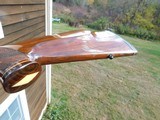 Weatherby Varmintmaster Stunning Beauty At A Bargain Price. 22-250 - 14 of 15