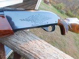 Remington 1100 Trap 1965 with Exhibition Grade Factory Wood As New - 12 of 16