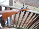 Ruger 77 RSI Mannlicher International 243 Excellent Tang Safety Beauty