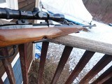 Winchester Model 88 1956 First Full Year Of Production Nearly New Condition Exceptional Unmolested Closet Queen - 4 of 9