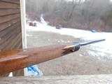 Remington 700 BDL VS (Varmint) Deluxe Walnut Stocked Beauty 22-250 Bargain Price 1978 Heavy Barrel - 4 of 13