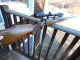 Winchester Model 70 Varmint Model
1977 As New Beauty 243