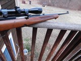 Winchester Pre 64 Model 100 .308 1961 Beauty Ready To Hunt Excellent Condition 2d Year Production - 10 of 11