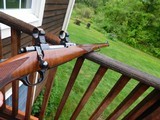 Ruger 77 RSI 243 1989 Beauty - 13 of 13