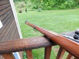 Ruger 77 RSI 243 1989 Beauty - 8 of 13