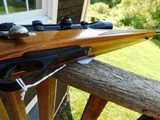 Remington 600 350 Magnum First Year Production 1965 Compact big banger in a 37