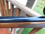 225 Winchester Rarely Found Varmint Model 1965 in Near New Condition Time Capsule - 15 of 16