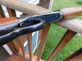 Winchester Model 64 made in 1955
30 30 Not Too Too Far From As New ** - 4 of 8