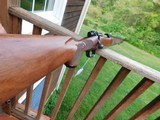 Winchester Model 70 257 Roberts, Featherweight XTR Real New Haven Ct Made Not Far From New Cond 1981 - 7 of 12
