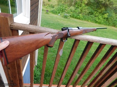 Winchester Model 70 257 Roberts, Featherweight XTR Real New Haven Ct Made Not Far From New Cond 1981