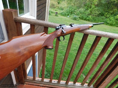 Remington 700 BDL VS (Deluxe Varmint with Walnut Stock) 1974 Heavy Barrel Long Range Coyote getter.