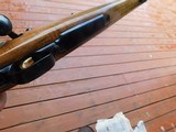 Nikko Golden Eagle 7000 Stunning As New Beauty 300 Win Mag Elk Rifle Bargain Prices - 4 of 7