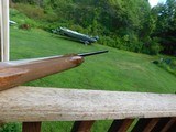 Browning B 2000 20 ga Belgian Semi Auto Beauty Uncommon Spectacular Light Weight Bird Gun - 6 of 15