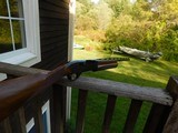 Remington Special Field 20 ga LT with Factory 21