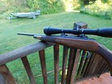 Remington 541 T with 36X Target Scope As New Bargain Price hundreds below others like it - 8 of 9