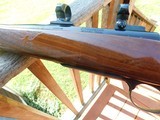 700 BDL VS (Varmint) 222 1967 As New First Year Production Of The Varmint Model...You won't find one nicer - 13 of 20
