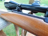 Ruger 77 RL Lightweight 257 Roberts Very Rare In this Cal As New With Excellent Scope Ready for fall - 10 of 12
