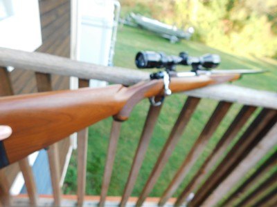 Ruger 77 RL Lightweight 257 Roberts Very Rare In this Cal As New With Excellent Scope Ready for fall