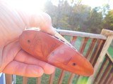 Fox Sterlingwoth 16 ga These may be the most perfect upland double ever made !!!!!!!! Same Frame as the 20 ga - 7 of 11