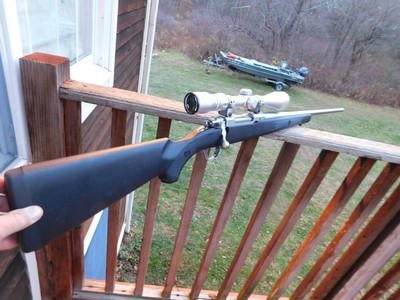 Ruger 77 Mark 11 260 Remington Stainless Synthetic Rare Rare As New