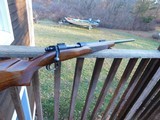Winchester Pre 64 Model 70 Varminter 243 1959 As New Original Condition Hard To Find Beauty - 3 of 18