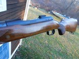 Winchester Pre 64 Model 70 Varminter 243 1959 As New Original Condition Hard To Find Beauty - 15 of 18