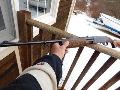 Remington 760 1954 3d year production 300 Savage Classic Deer Gun At A Giveaway Price !