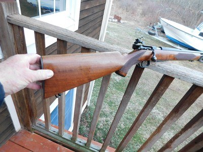 Winchester Model 75 Sporting Near New Totally Original 1951 Somewhat Rare .22 (we have 2!!!!) - Image 2 of 13