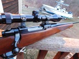 Ruger 77 Reg Pad Tang Safety 243 Bargain Priced 1986 - Image 4 of 13