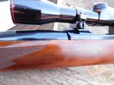 Ruger 77 Reg Pad Tang Safety 243 Bargain Priced 1986 - Image 10 of 13