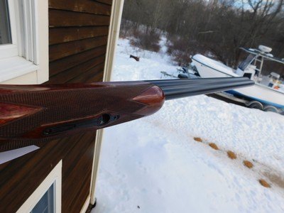 Charles Daly Superior Grade Trap 12 ga Stunning Engraving O/U Beauty - Image 7 of 9