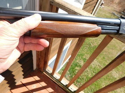 Remington Model 31 E Grade (Expert Grade) 16 ga Superior Condition Stunning and Elegantly Engraved - Image 8 of 13