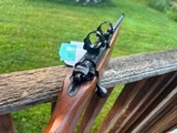 Ruger77/22 Mag 100% Conditon. Uncommon with factory sights and rings - Image 4 of 7