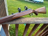 Ruger77/22 Mag 100% Conditon. Uncommon with factory sights and rings - Image 6 of 7