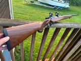 Ruger77/22 Mag 100% Conditon. Uncommon with factory sights and rings - Image 1 of 7