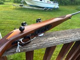 Ruger77/22 Mag 100% Conditon. Uncommon with factory sights and rings - Image 3 of 7