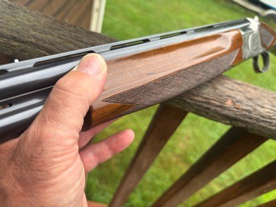 Winchester 101 20 Ga XTR Pigeon Lightweight (Very Har To Find) Straight Stock Mod/Full - Image 10 of 11