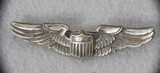 ORIGINAL US WW 2 MIXED WINGS LOT - 4 of 16