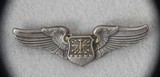 ORIGINAL US WW 2 MIXED WINGS LOT - 10 of 16