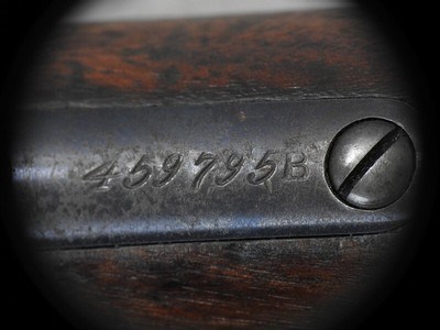 Winchester Model 1873 Musket Made In 1893. - Image 14 of 14