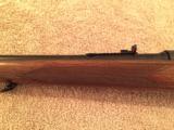 Winchester model 70 358 feather weight
- 7 of 12