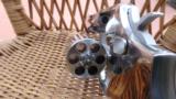 Smith & Wesson Model 681 .357 Magnum - 4 of 8