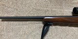 CZ model 455 .22LR with Burris scope. - 1 of 11