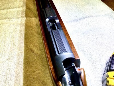CZ 453 17HMR Varnmit with Fluted Barrel - Image 8 of 13